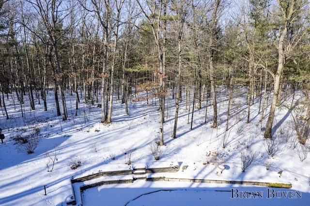 view of snow covered land