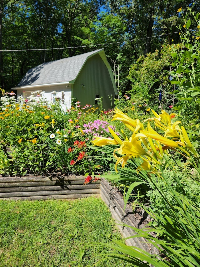 view of yard with a storage unit