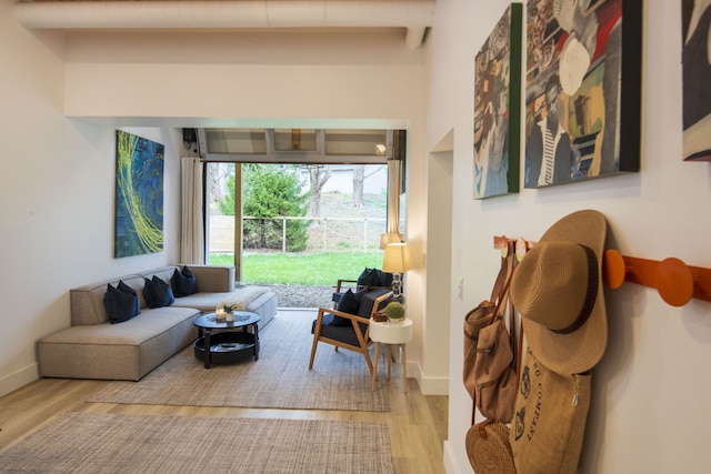 living room with light hardwood / wood-style floors