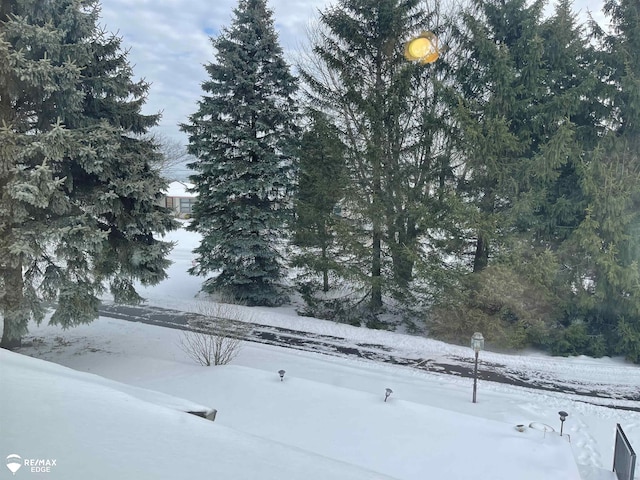 view of snowy yard