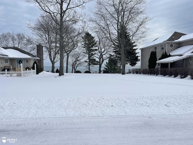 view of yard covered in snow