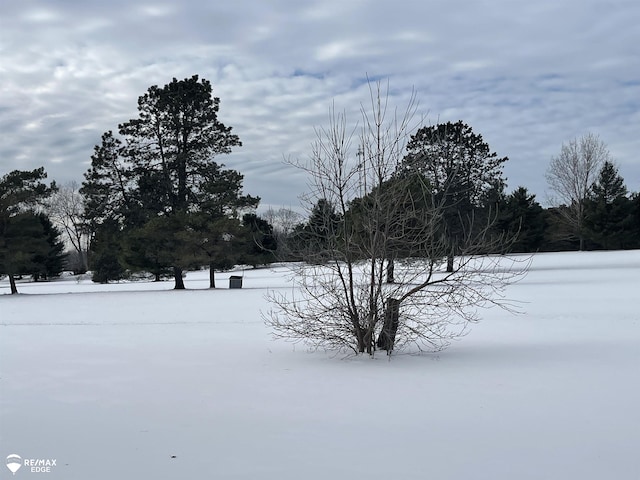 view of yard covered in snow