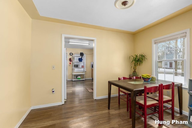 dining room featuring dark wood-type flooring