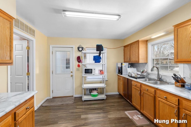 kitchen with sink and dark hardwood / wood-style floors