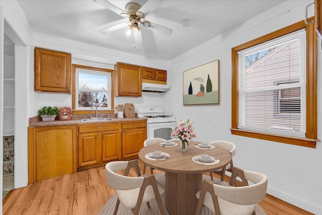 kitchen featuring ceiling fan, light hardwood / wood-style floors, sink, and gas range gas stove