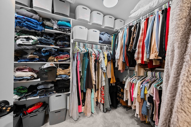 walk in closet with carpet