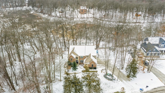 view of snowy aerial view