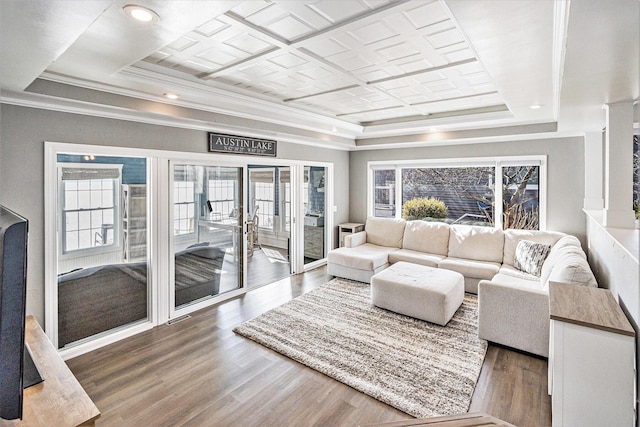 living room featuring a raised ceiling, ornamental molding, and dark wood-type flooring