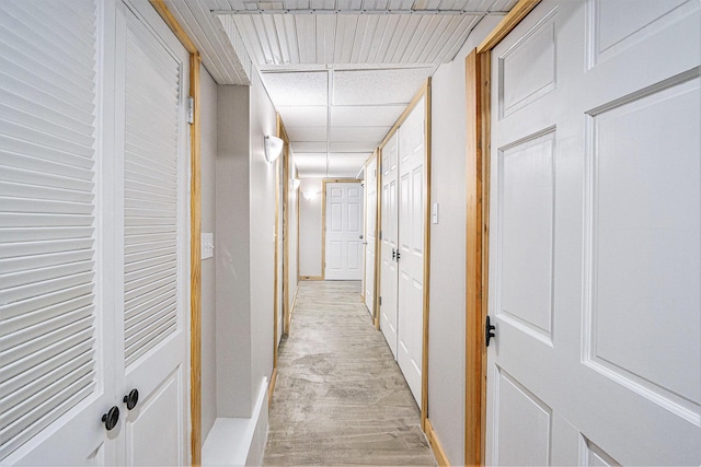 hall featuring a drop ceiling and light hardwood / wood-style floors