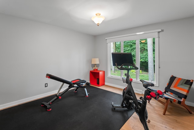 workout room featuring light hardwood / wood-style flooring