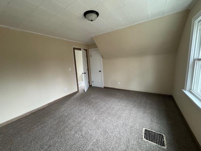 additional living space with vaulted ceiling and carpet flooring