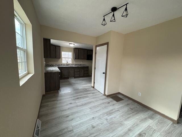 kitchen featuring dark brown cabinetry, sink, and light wood-type flooring