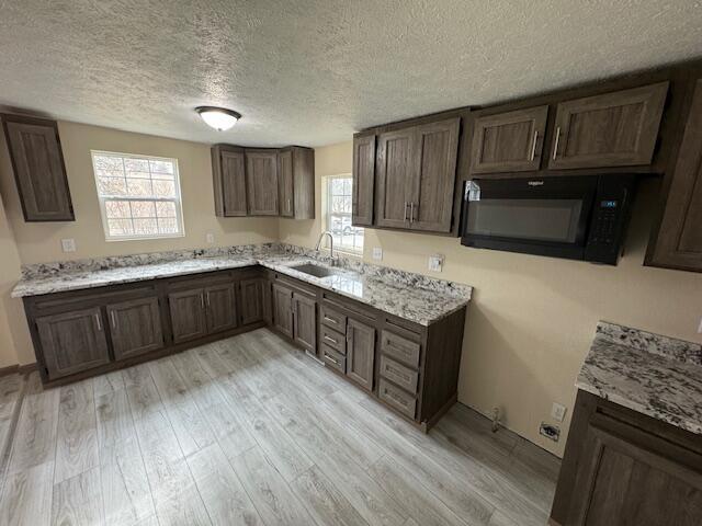 kitchen featuring sink, dark brown cabinets, light hardwood / wood-style floors, and plenty of natural light