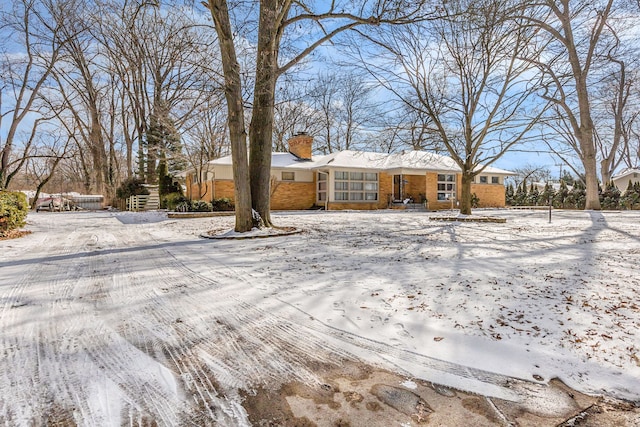 view of snowy yard