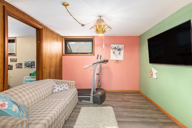 exercise room featuring wood-type flooring