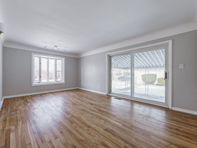 empty room with a wealth of natural light and light hardwood / wood-style flooring