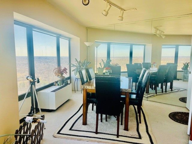 dining area featuring plenty of natural light and track lighting