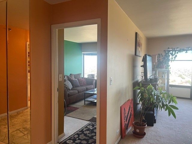 corridor with carpet and a wealth of natural light