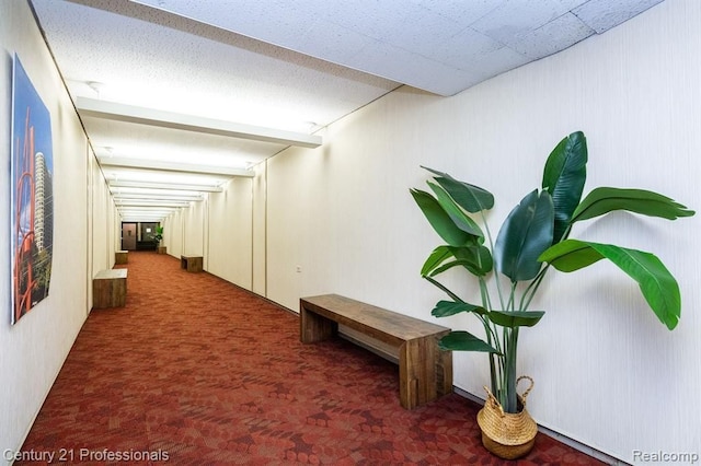 hall featuring carpet floors