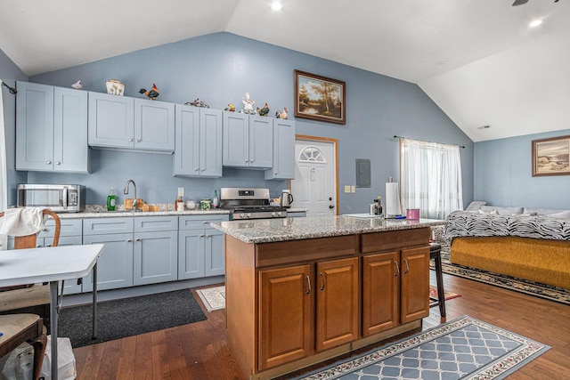 kitchen featuring a kitchen island with sink, dark hardwood / wood-style flooring, lofted ceiling, and appliances with stainless steel finishes