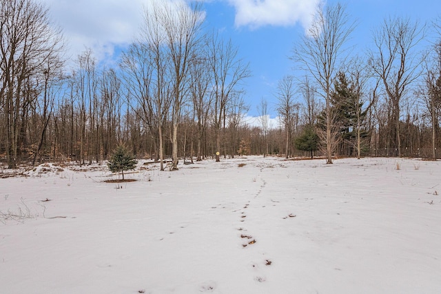 view of yard covered in snow