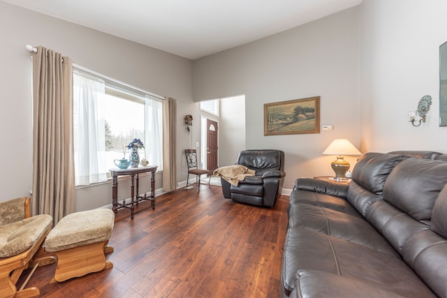 living room featuring dark wood-type flooring