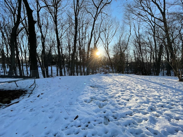 view of yard layered in snow