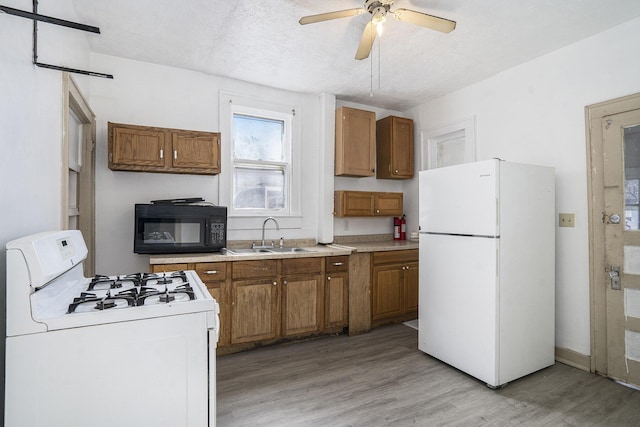 kitchen with sink, a textured ceiling, white appliances, and light hardwood / wood-style floors