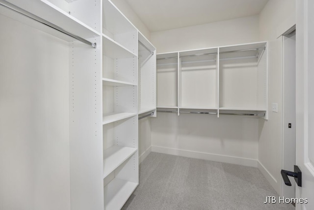 spacious closet featuring carpet flooring