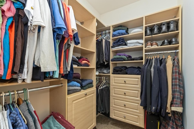 walk in closet with carpet flooring