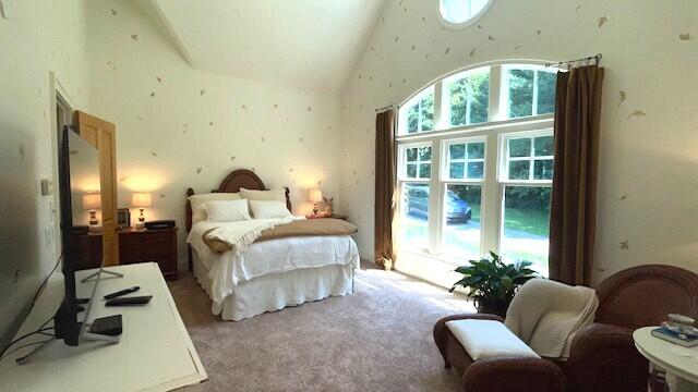 6352 Ryan Ridge Dr, Holland, MI 49423 - bedroom with high vaulted ceiling and light carpet