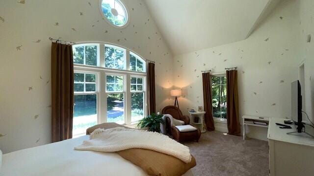 6352 Ryan Ridge Dr, Holland, MI 49423 - bedroom with light colored carpet, high vaulted ceiling, and multiple windows