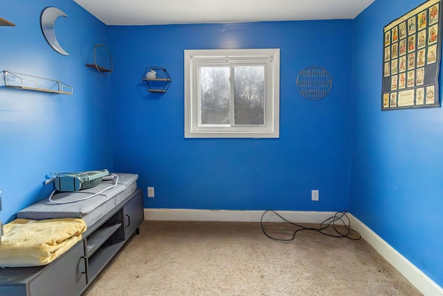 unfurnished bedroom with light colored carpet