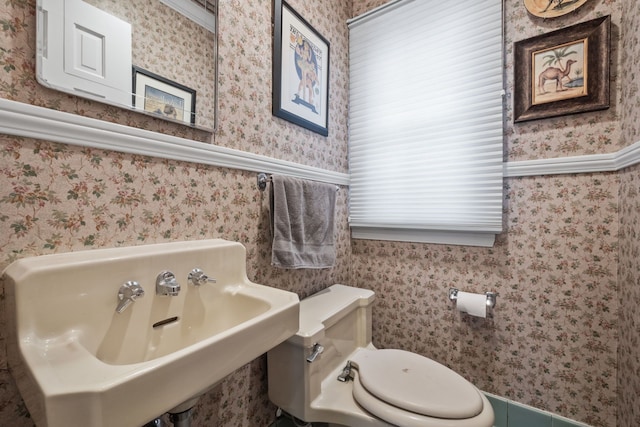 bathroom featuring toilet and sink