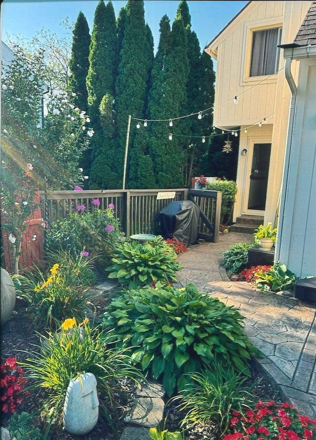 view of yard featuring a patio area