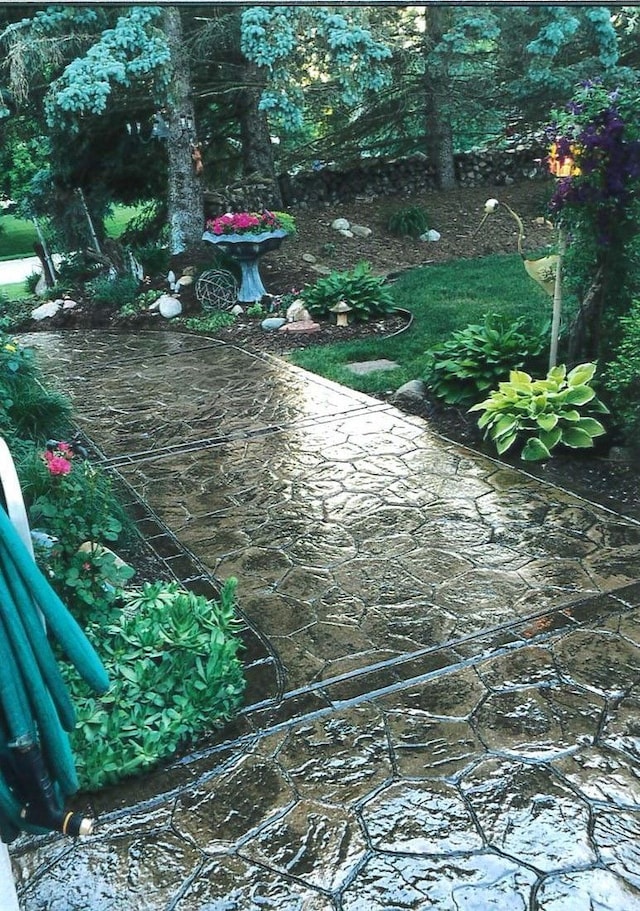 view of yard featuring a patio