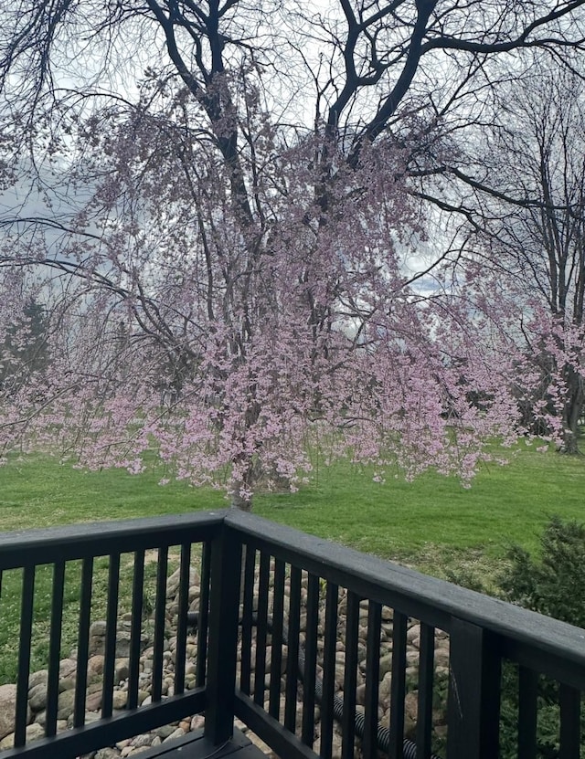 wooden deck featuring a lawn