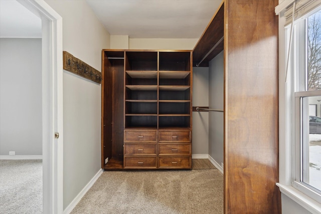 walk in closet featuring light carpet