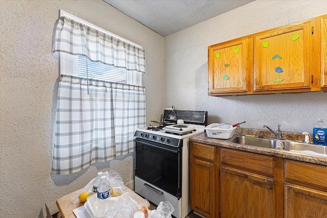 kitchen with white range with gas cooktop and sink