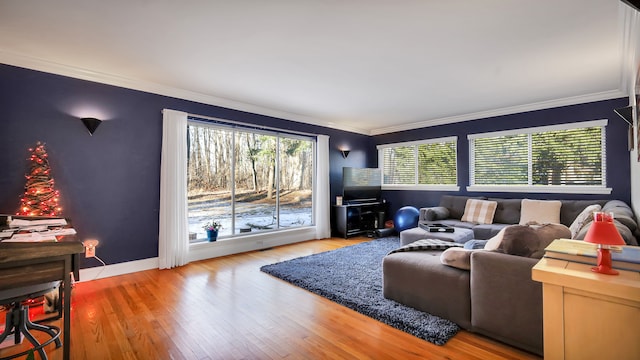 living room featuring ornamental molding and hardwood / wood-style floors