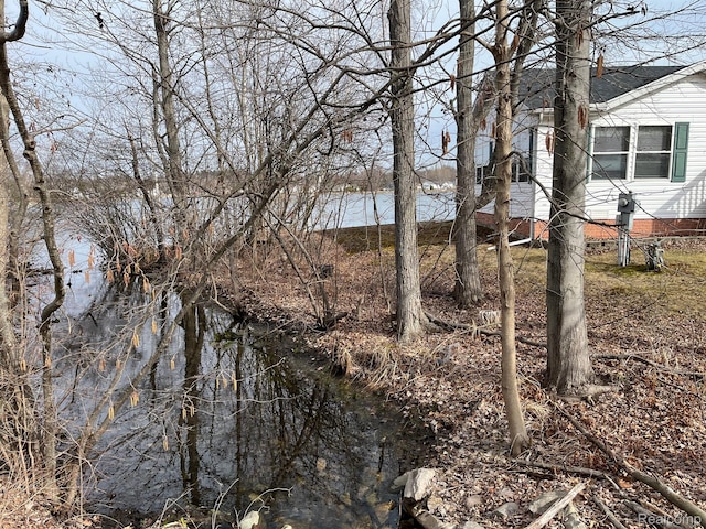5128 Twin Lakes Dr, Kimball, MI 48074 - view of local wilderness