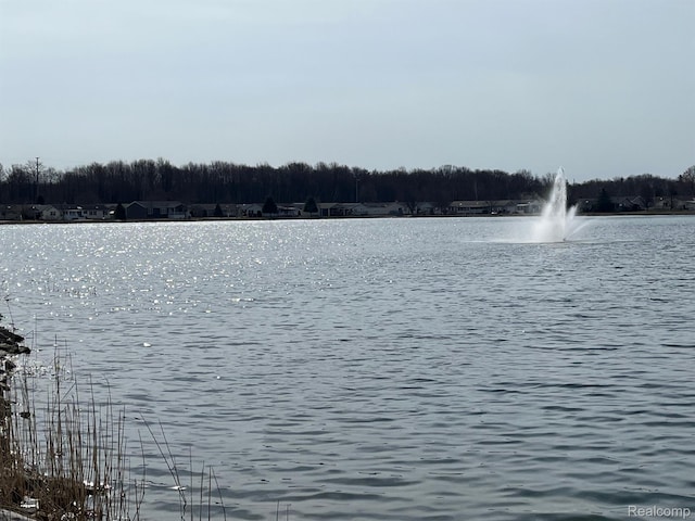 5128 Twin Lakes Dr, Kimball, MI 48074 - water view