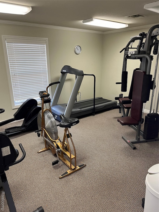 5128 Twin Lakes Dr, Kimball, MI 48074 - workout area featuring crown molding and carpet flooring