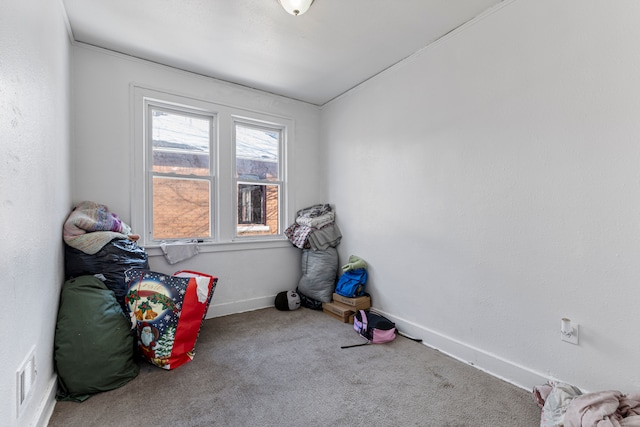 interior space featuring carpet flooring