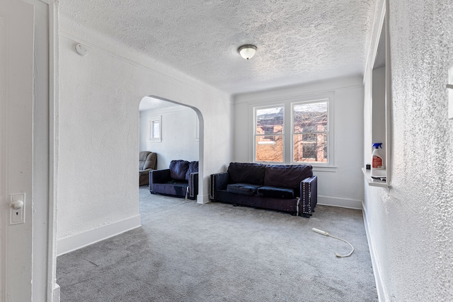 carpeted living room with a textured ceiling