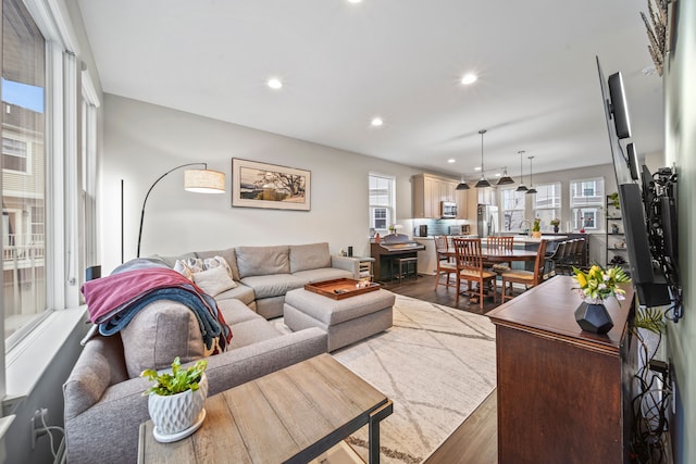 living room featuring dark hardwood / wood-style floors