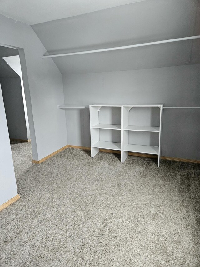 445 Colfax St, Cadillac, MI 49601 - spacious closet featuring carpet floors and vaulted ceiling