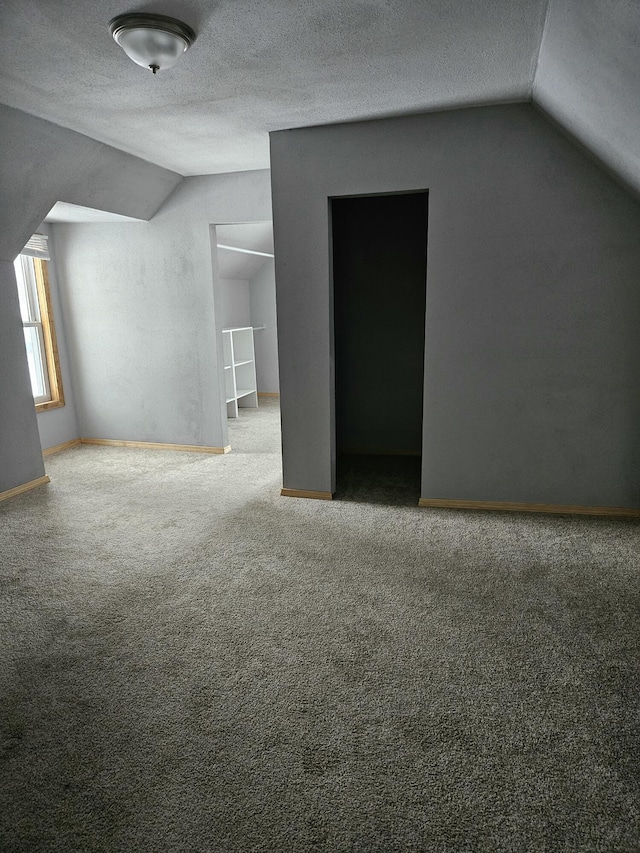 445 Colfax St, Cadillac, MI 49601 - bonus room featuring vaulted ceiling, carpet flooring, baseboards, and a textured ceiling