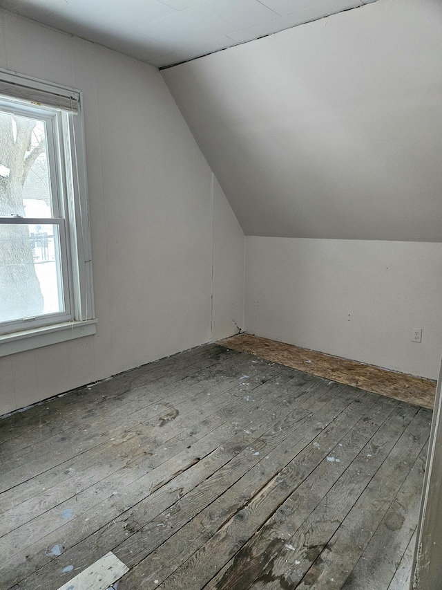 445 Colfax St, Cadillac, MI 49601 - additional living space with lofted ceiling and wood-type flooring