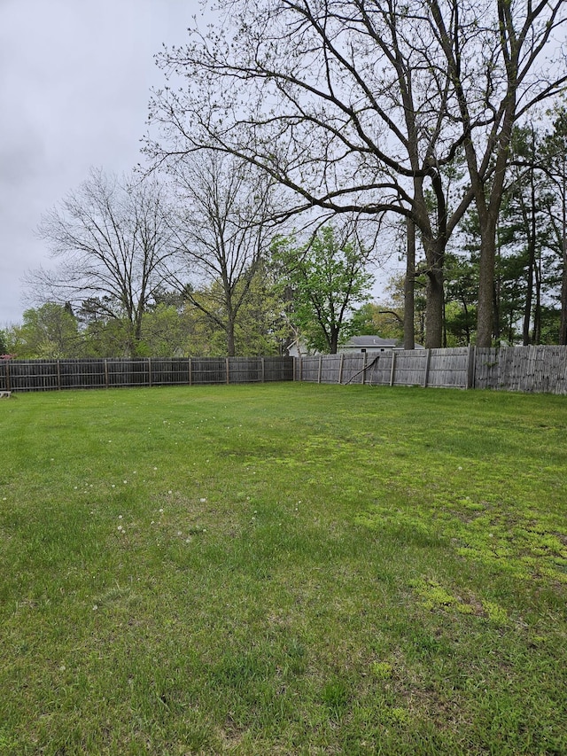 445 Colfax St, Cadillac, MI 49601 - view of yard